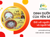 Những giá trị dinh dưỡng của yến sào mang lại cho người lớn tuổi và người bệnh