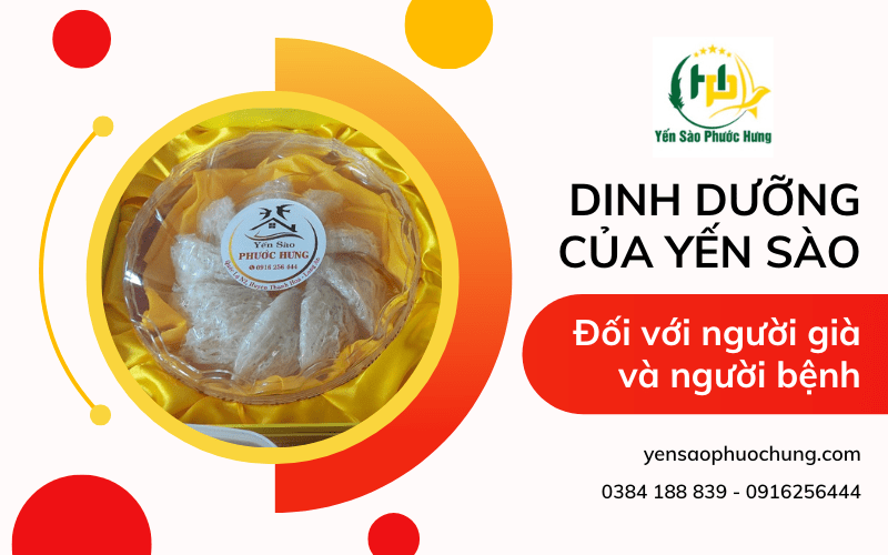 yến sào