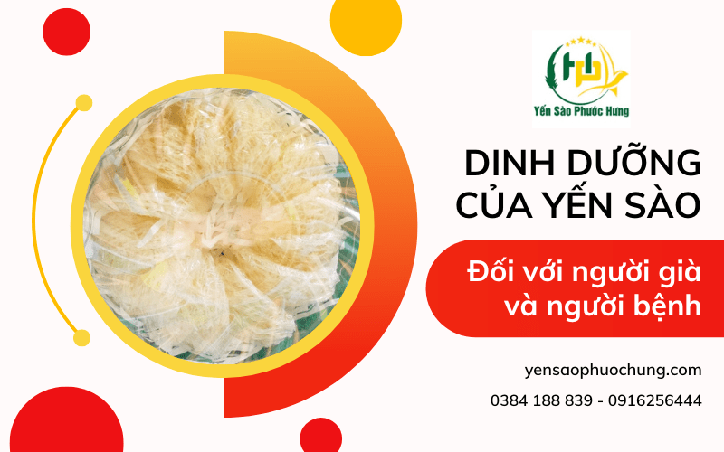 yến sào